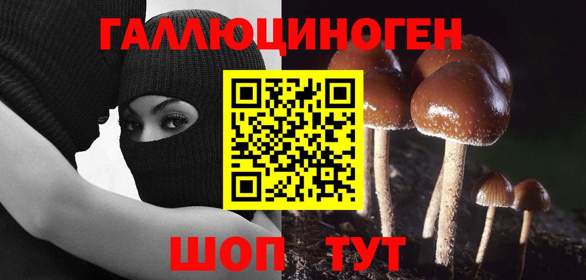 Галлюциногенные грибы прущие грибы  Вход с VPN  Черкесск 